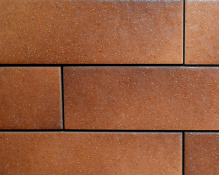   Paradyz Taurus Brown